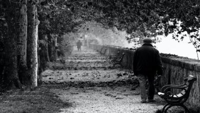 افسردگی فصلی احساسی زودگذر نیست - خبرگزاری مهر ایران و جهان