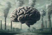 فرسایش روانی در سایه آسمان دودی و خاکستری شهر