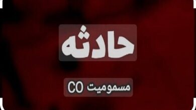 مسمومیت با مونوکسید کربن؛ 6 نفر در حادثه دماوند مسموم شدند - خبرگزاری مهر | اخبار ایران و جهان