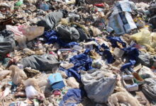 معاون وزیر بهداشت: عفونت های بیمارستانی عوارض جدی دارد