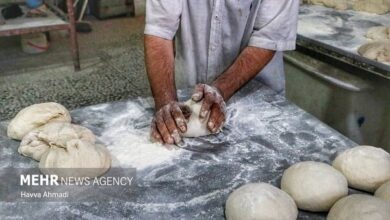 کارشناس پزشکی ایران: نان سفید بلای چاقی و ناباروری است - خبرگزاری مهر ایران و جهان