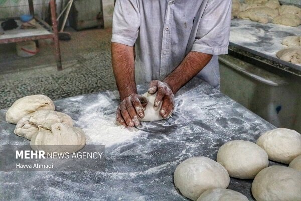 کارشناس پزشکی ایران: نان سفید بلای چاقی و ناباروری است - خبرگزاری مهر ایران و جهان