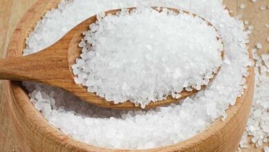 وجود آلودگی میکروبی در نمک دریا - خبرگزاری مهر ایران و جهان