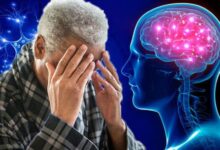 کمبود کدام مواد مغذی مغز را سریعتر پیر می کند؟