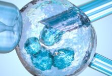  بازار سلول‌درمانی کشور در اختیار شرکت‌های دارای مجوز / تولید داخلی اگزوزوم‌ها در دستور کار شرکت‌های دانش‌بنیان