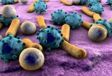 روزشمار هفته جهانی آگاهی از مقاومت میکروبی سال ۱۴۰۴ اعلام شد