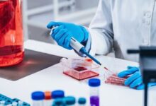 نیاز جدی بازار سلول درمانی کشور به محصولات مجاز - خبرگزاری مهر ایران و جهان