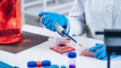 نیاز جدی بازار سلول درمانی کشور به محصولات مجاز - خبرگزاری مهر ایران و جهان