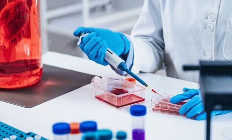 نیاز جدی بازار سلول درمانی کشور به محصولات مجاز - خبرگزاری مهر ایران و جهان