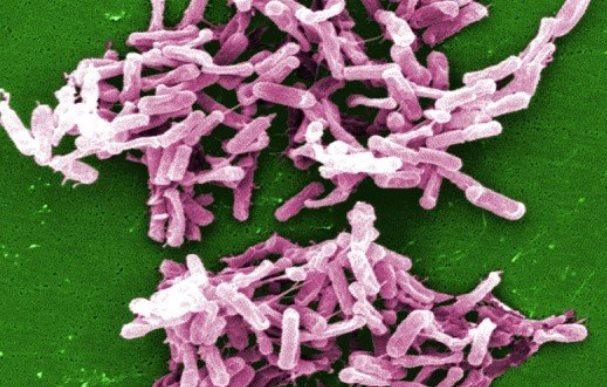 مردانی: فروش آنتی بیوتیک بدون نسخه می تواند فاجعه باشد