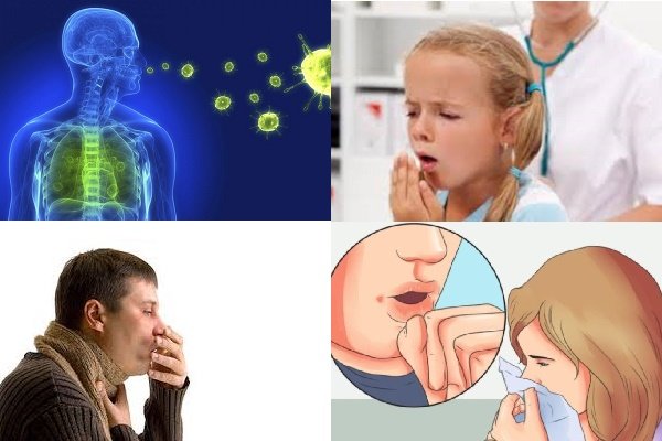 موارد سل در جهان به بالاترین حد خود رسیده است - خبرگزاری مهر ایران و جهان