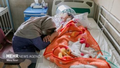 میکروب های مقاوم، کشنده های جدید در بیمارستان ها - خبرگزاری مهر | اخبار ایران و جهان