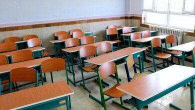 واکنش وزارت بهداشت به شیوع بیماری های ویروسی و تعطیلی مدارس - خبرگزاری مهر | اخبار ایران و جهان