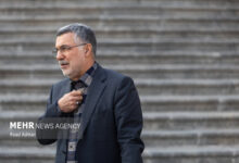 ظفرکندی: بیش از 170 بیماری خاص تحت پوشش بیمه قرار دارند - خبرگزاری مهر ایران و جهان