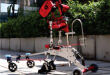 استقبال کشورهای منطقه از واکر ایرانی - خبرگزاری مهر اخبار ایران و جهان