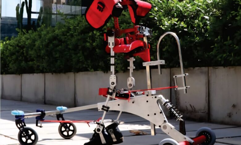 استقبال کشورهای منطقه از واکر ایرانی - خبرگزاری مهر اخبار ایران و جهان