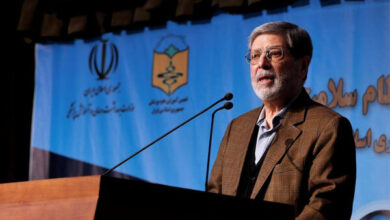 مرندی: تمرکز افراطی روی درمان دارویی نتیجه ماندگاری ندارد - خبرگزاری مهر ایران و جهان