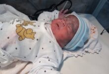 روند سریع کاهش مرگ و میر نوزادان در ایران - خبرگزاری مهر اخبار ایران و جهان