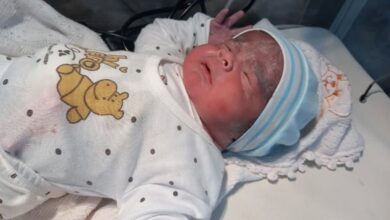 روند سریع کاهش مرگ و میر نوزادان در ایران - خبرگزاری مهر اخبار ایران و جهان