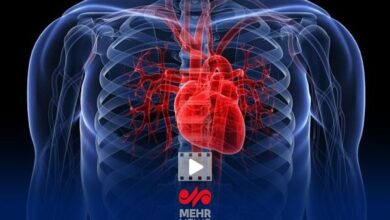 تفاوت مهم بیماری قلبی در زنان و مردان - خبرگزاری مهر ایران و جهان
