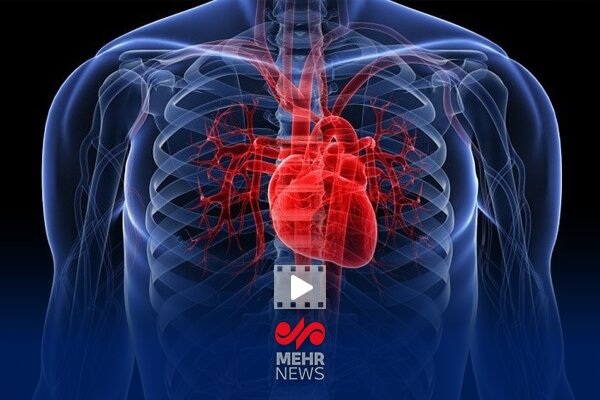 تفاوت مهم بیماری قلبی در زنان و مردان - خبرگزاری مهر ایران و جهان