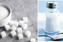 مصرف بالای نمک و چربی از عوامل مهم بروز سرطان است