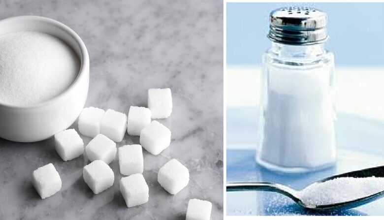 مصرف بالای نمک و چربی از عوامل مهم بروز سرطان است