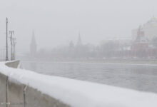 موج سرما و گرما سالانه باعث مرگ هزاران نفر می شود - خبرگزاری مهر ایران و جهان