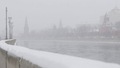 موج سرما و گرما سالانه باعث مرگ هزاران نفر می شود - خبرگزاری مهر ایران و جهان