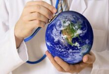 از شناسایی علائم اولیه سرطان پانکراس تا کیوی و درمان یبوست - خبرگزاری مهر ایران و جهان