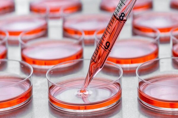 جذب داوطلب برای اهدای سلول های بنیادی برای اولین بار در نماز جمعه - خبرگزاری مهر ایران و جهان