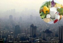 راهکارهای تغذیه ای برای مقابله با آلودگی هوا