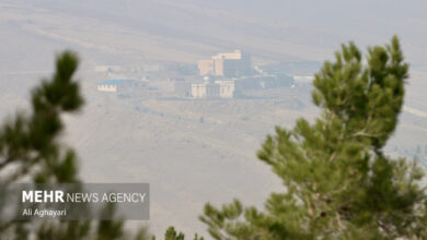 بایدها و نبایدهای تغذیه در روزهای آلودگی هوا - خبرگزاری مهر ایران و جهان