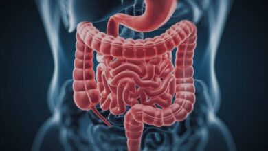 شیوع مشکلات گوارشی در دوران یائسگی - خبرگزاری مهر ایران و جهان