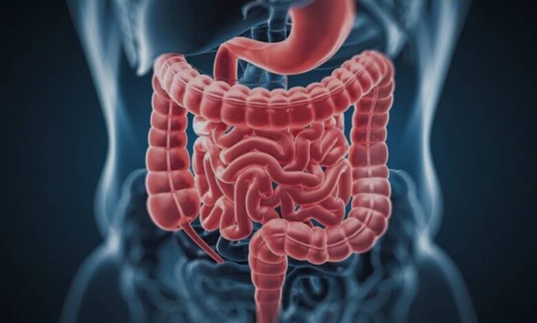 شیوع مشکلات گوارشی در دوران یائسگی - خبرگزاری مهر ایران و جهان