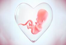 19 هزار مادر با کمک شبکه «نفس» از سقط جنین خودداری کردند - خبرگزاری مهر ایران و جهان