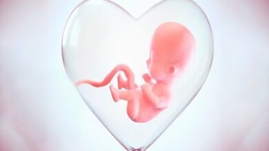 19 هزار مادر با کمک شبکه «نفس» از سقط جنین خودداری کردند - خبرگزاری مهر ایران و جهان