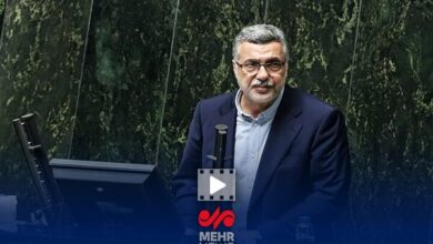 وزیر بهداشت: شاخص مرگ و میر فرزندان ما در دنیا قابل ارائه است
