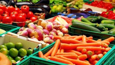 هشدار درباره باقیمانده سموم در محصولات کشاورزی - خبرگزاری مهر ایران و جهان