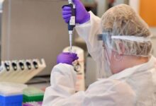 مردم کشورهای کم درآمد موش آزمایشگاهی شرکت های داروسازی هستند! - خبرگزاری مهر اخبار ایران و جهان