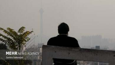 ورود کمیسیون بهداشت و درمان مجلس به پرونده مقصران آلودگی هوا - خبرگزاری مهر ایران و جهان