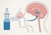 طراحی دارویی به صورت قطره بینی برای حذف تومورهای مغزی