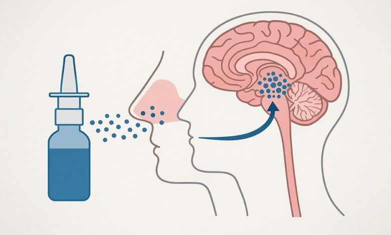 طراحی دارویی به صورت قطره بینی برای حذف تومورهای مغزی