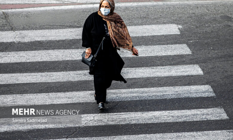 آلودگی هوا برای زنان بیشتر از مردان عوارض ایجاد می کند - خبرگزاری مهر ایران و جهان
