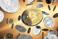 پرداخت سکه و ارزهای دیجیتال؛ فرار مالیاتی در پزشکی + فیلم - خبرگزاری مهر خبر ایران و جهان