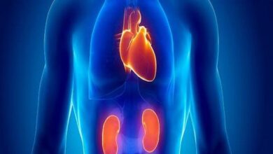 مرگبارترین سندرمی که تا به حال نام آن را نشنیده اید - خبرگزاری مهر | اخبار ایران و جهان