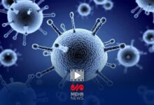 موج آنفولانزا در سراسر کشور گسترش یافت