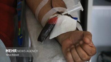 تشریح فعالیت های سازمان انتقال خون در چارچوب اصل برابری - خبرگزاری مهر ایران و جهان