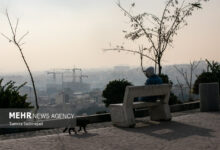 آلودگی هوا سالانه جان هفت میلیون نفر را در جهان می گیرد - خبرگزاری مهر ایران و جهان