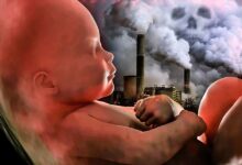 هشدار درباره پیامدهای آلودگی هوا بر سلامت مادر و جنین - خبرگزاری مهر ایران و جهان